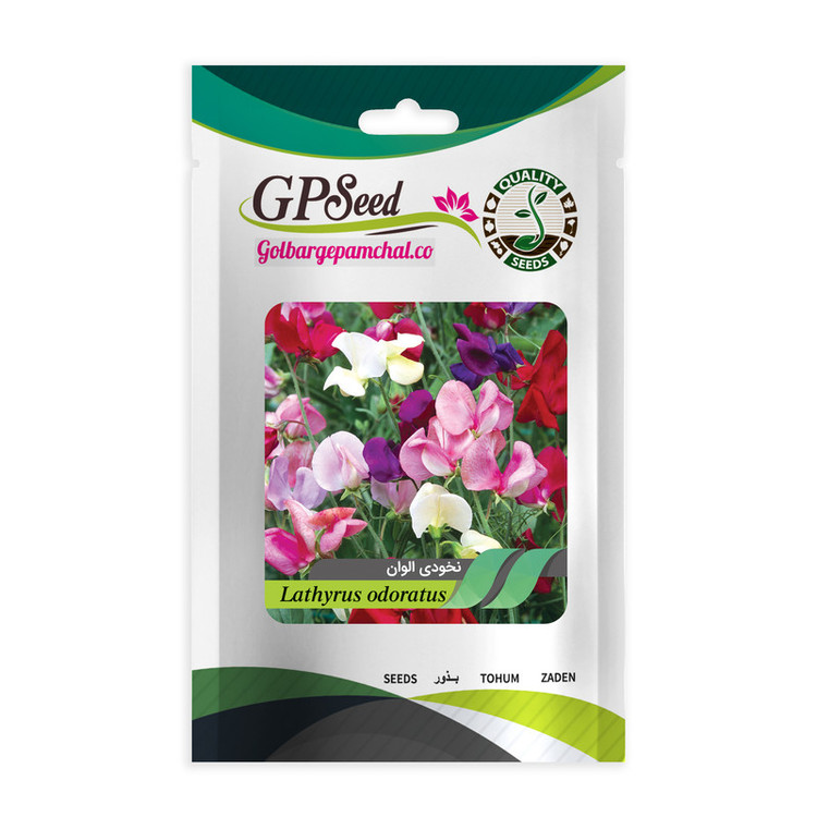 بذر گل های باغچه ای و گلدانی رونده با رویش آسان گلبرگ پامچال کد G-P-GP-012 مجموعه 12 عددی