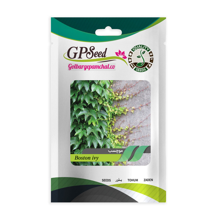 بذر گل های باغچه ای و گلدانی رونده با رویش آسان گلبرگ پامچال کد G-P-GP-012 مجموعه 12 عددی