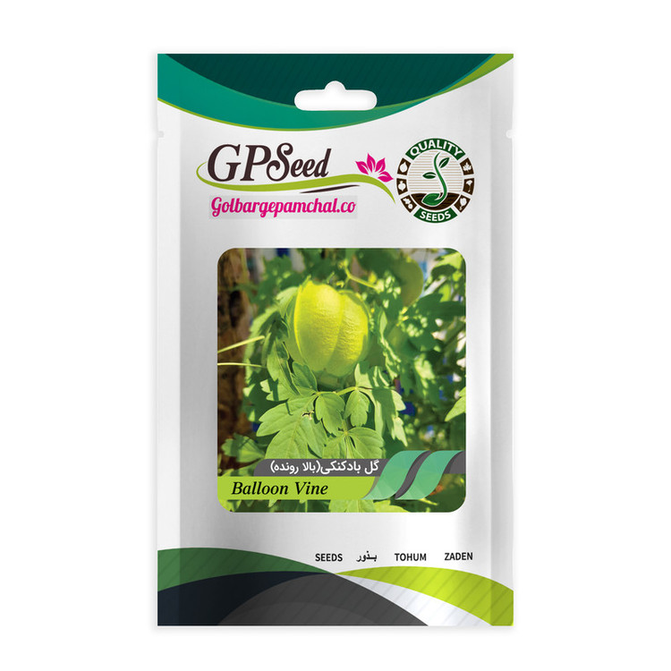 بذر گل های باغچه ای و گلدانی رونده با رویش آسان گلبرگ پامچال کد G-P-GP-012 مجموعه 12 عددی