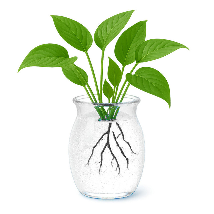 خاک ژله ای کریستالی مدل پودری بی رنگ وزن 15 گرم