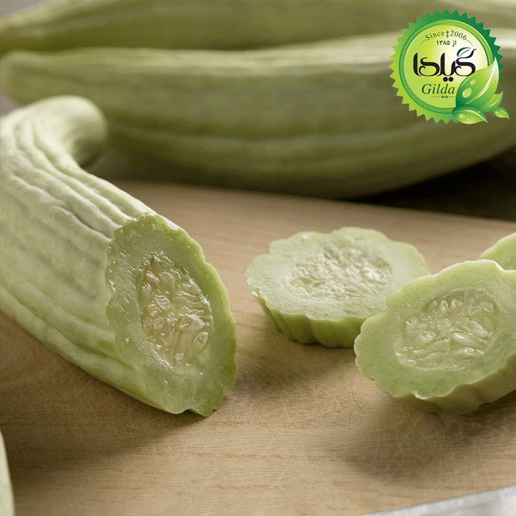 بذر خیار چنبر گیلدا کد 630