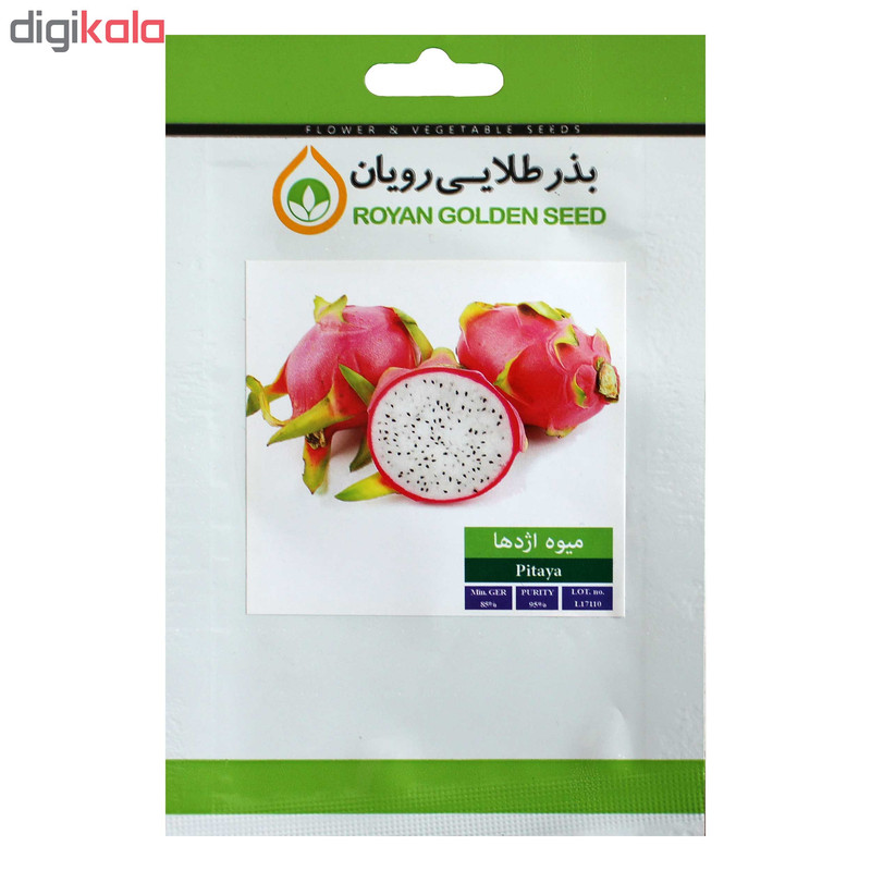 بذر دراگون فروت بذر طلایی رویان کد BZT-132