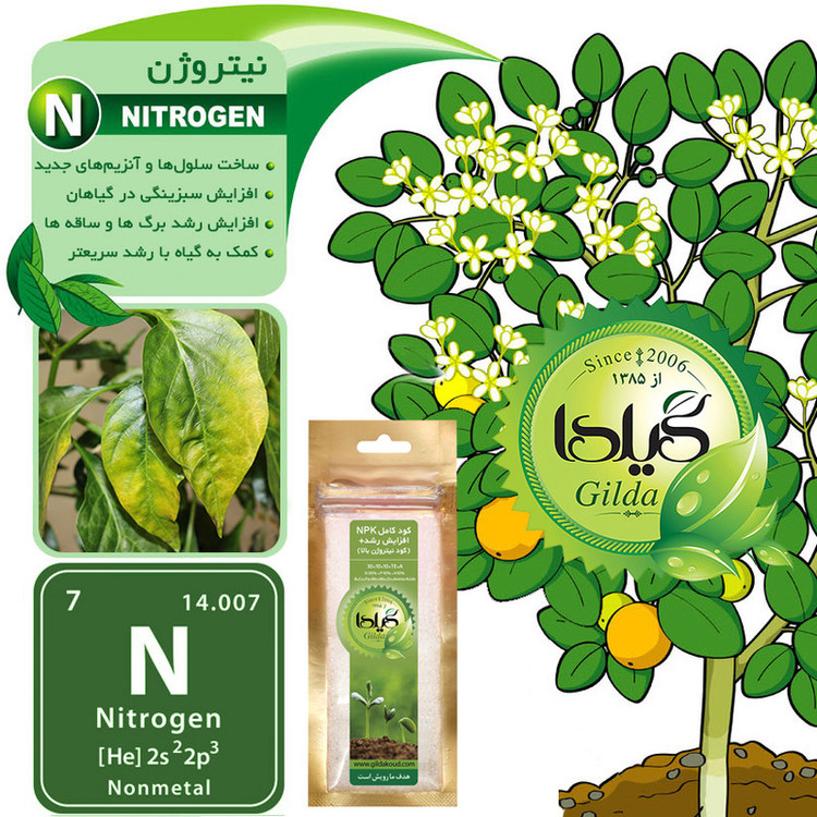کود کامل NPK افزایش رشد+ گیلدا مدل نیتروژن بالا وزن 25 گرم