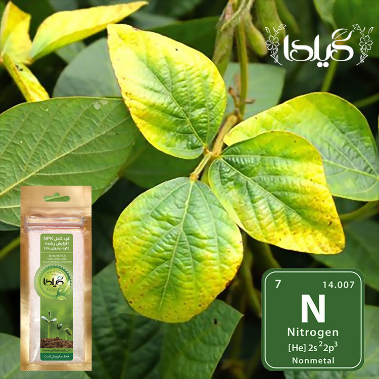 کود کامل NPK افزایش رشد+ گیلدا مدل نیتروژن بالا وزن 25 گرم