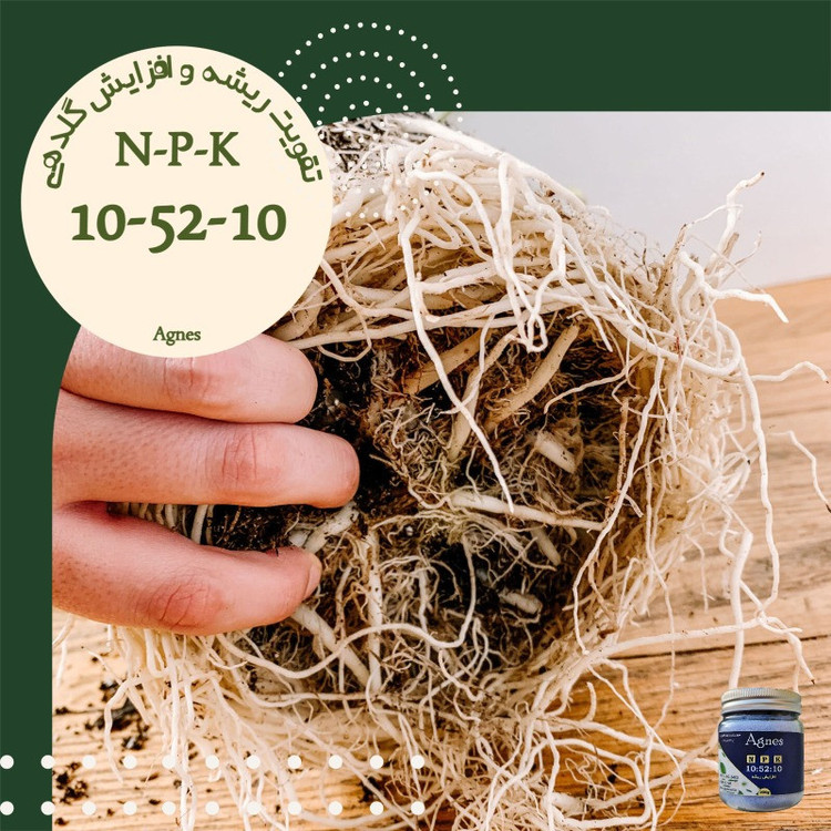 کود ریشه زا آگنس مدل Ag-NPK 10-52-10 وزن 300گرم