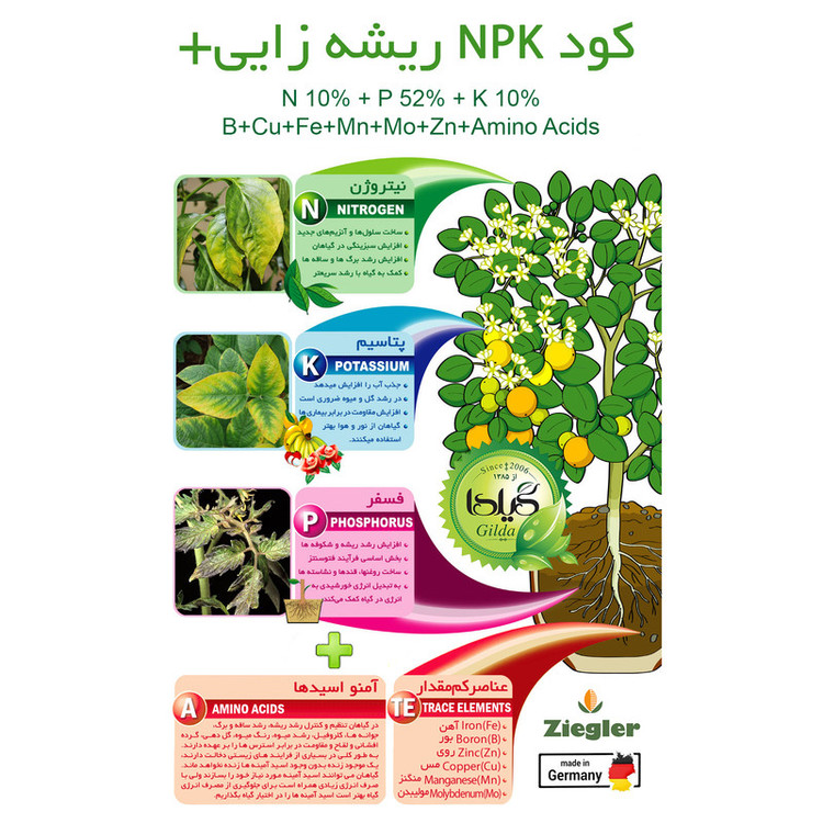کود کامل NPK ریشه زایی+ گیلدا مدل فسفر بالا وزن 25 گرم