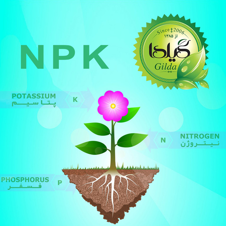 کود کامل NPK ریشه زایی+ گیلدا مدل فسفر بالا وزن 25 گرم