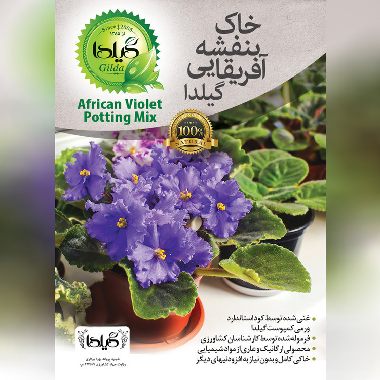 خاک بنفشه آفریقایی گیلدا مدل GV2L حجم 2 لیتر