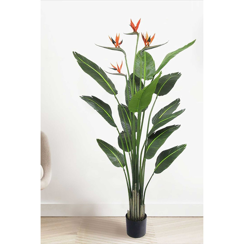 بذر گل پرنده بهشتی فصل سبز کد FSSEED-32