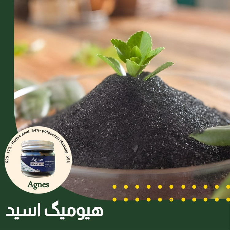 کود هیومیک اسید آگنس مدل AgHumic وزن 100 گرم