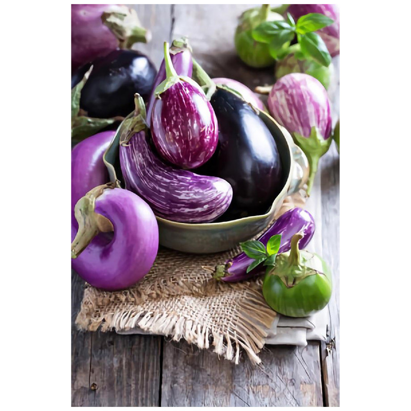 بذر بادمجان دلمه ای میکس آذر سبزینه مدل B410