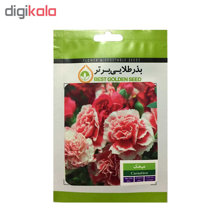 بذر گل میخک بذر طلایی برتر کد BZT-39