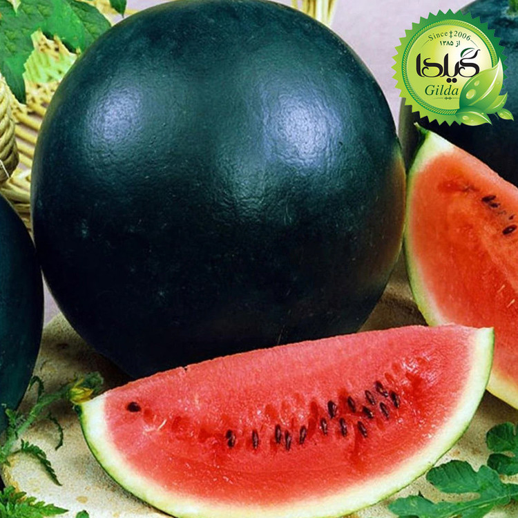 بذر هندوانه دیمی گیلدا کد 713
