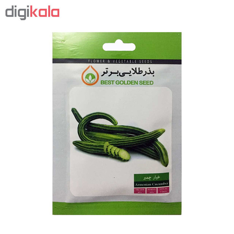 بذر خیار چمبر بذر طلایی برتر کد BZT-54
