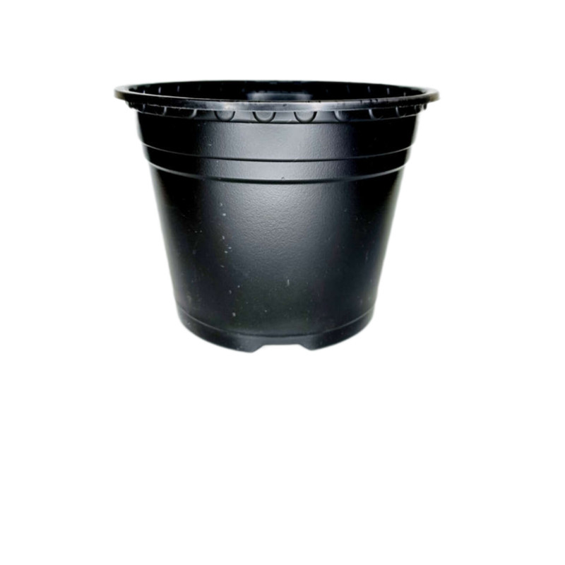 گلدان طرح ژله ای مدل a-19 بسته 10 عددی