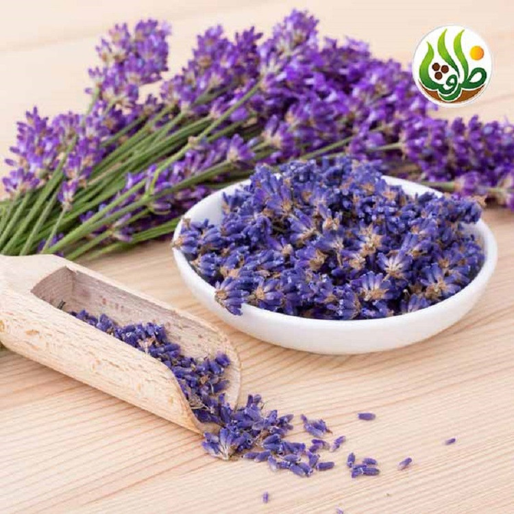 بذر اسطوخودوس فرانسوی ظرافت مدل BZ973