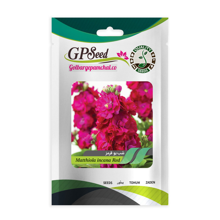 بذر گل شب بو همه رنگ گلدانی گلبرگ پامچال کد G-P-GP-08 مجموعه 8 عددی