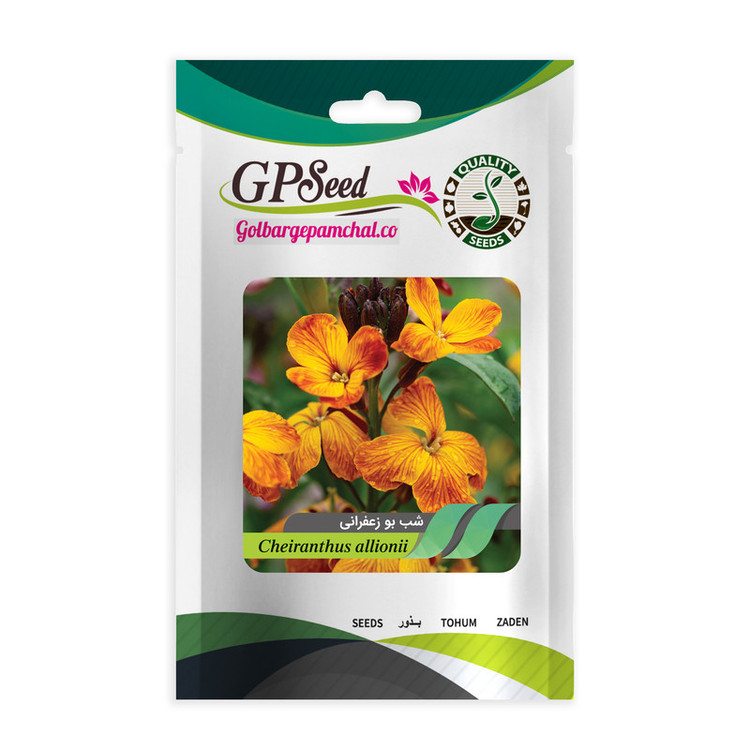 بذر گل شب بو همه رنگ گلدانی گلبرگ پامچال کد G-P-GP-08 مجموعه 8 عددی