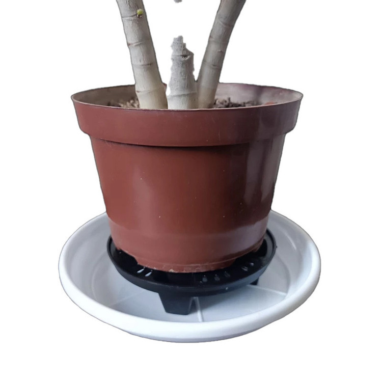 زیرگلدانی مدل زهکش و جزیره 26.2cm بسته 2 عددی
