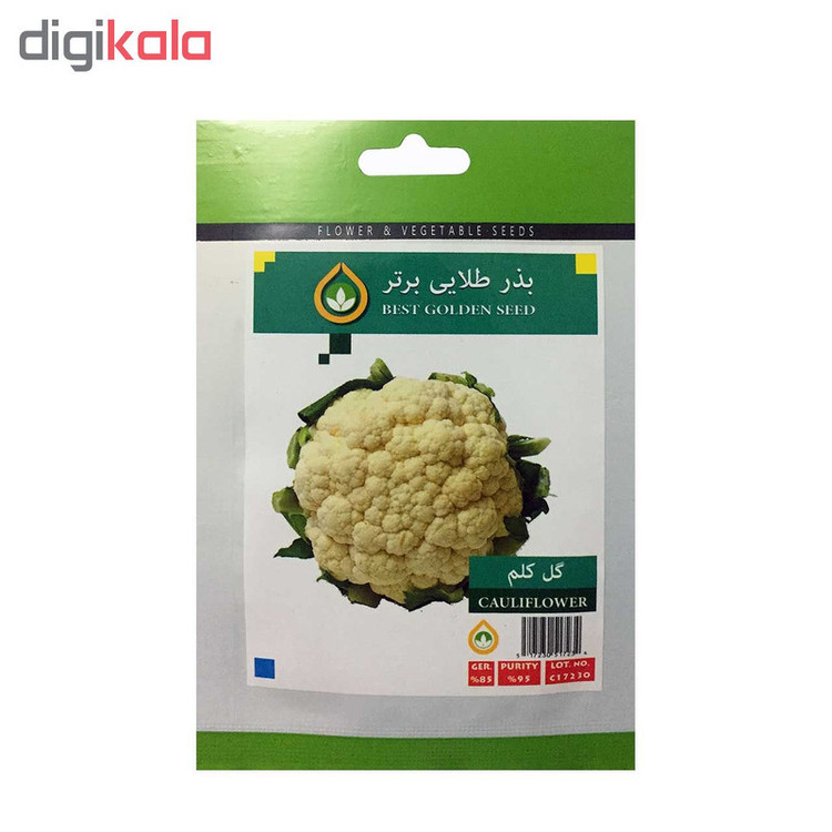 بذر کلم و کاهو بذر طلایی برتر کد P-KK-BZT-08 مجموعه 5 عددی