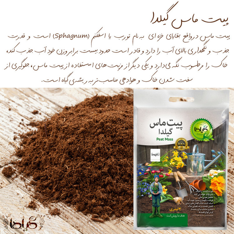 پیت ماس گیلدا مدل اسفاگنوم کد P2 حجم 2 لیتر