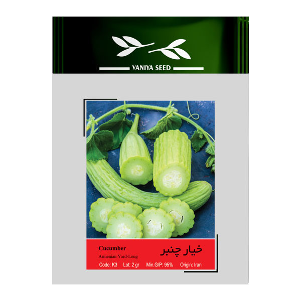 بذر خیار چنبر وانیا سید کد K3