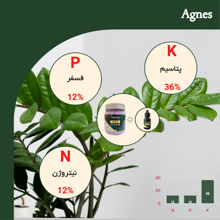 کود پتاس بالا آگنس مدل NPK 12-12-36 وزن 300 گرم
