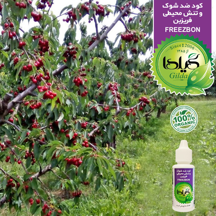 کود مایع ضد شوک و تنش محیطی گیلدا مدل FREEZBON حجم 30 میلی لیتر