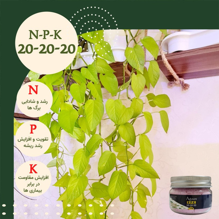 کود NPK 20-20-20 آگنس مدل Ag202020 وزن 100گرم