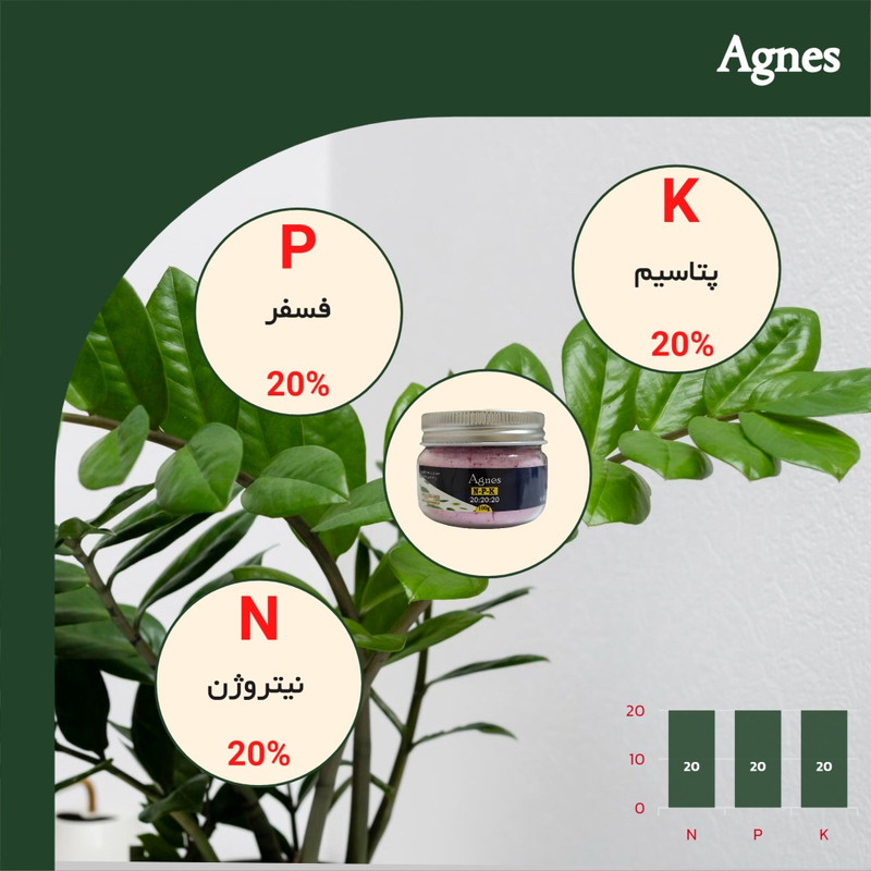 کود NPK 20-20-20 آگنس مدل Ag202020 وزن 100گرم