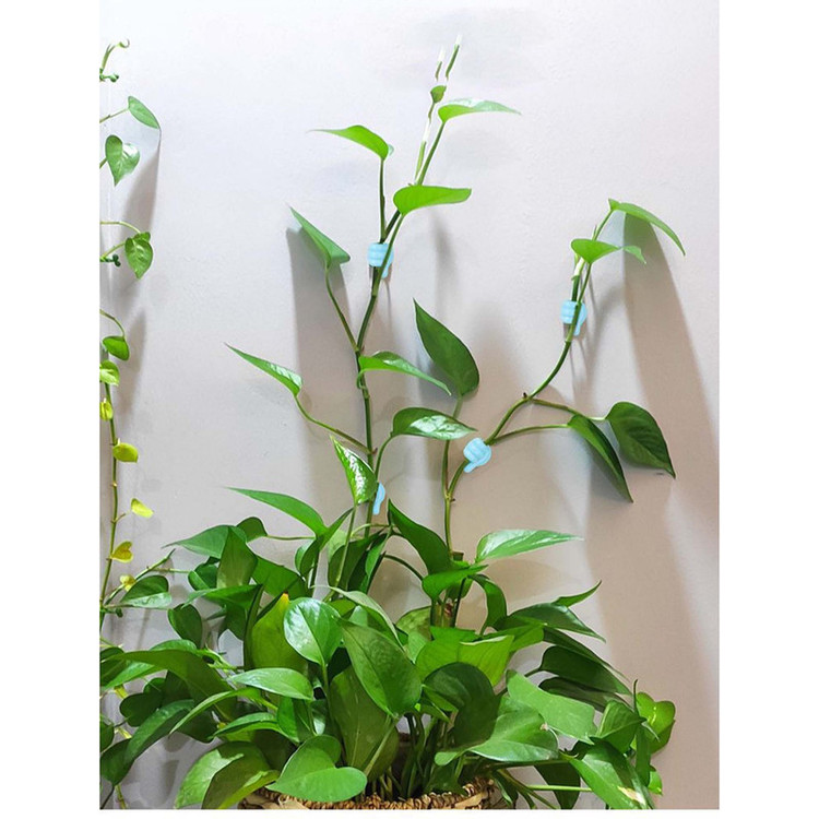 نگهدارنده شاخه طرح دست مجموعه 5 عددی