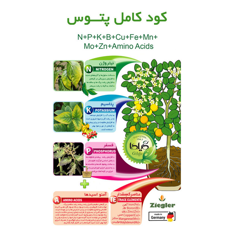 کود کامل پتوس گیلدا مدل NPK وزن 25 گرم