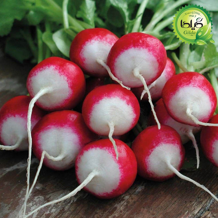 بذر ترپچه گیلدا کد 099 مجموعه 4 عددی