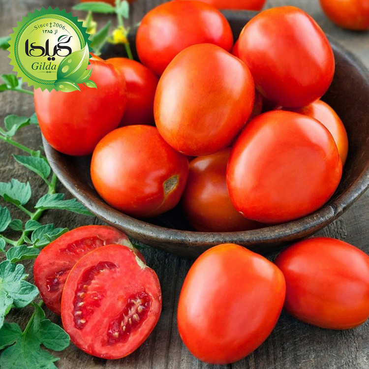 بذر گوجه کشیده وای گیلدا کد 554