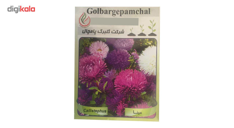 بذر گل مینا گلبرگ پامچال مدل GP19