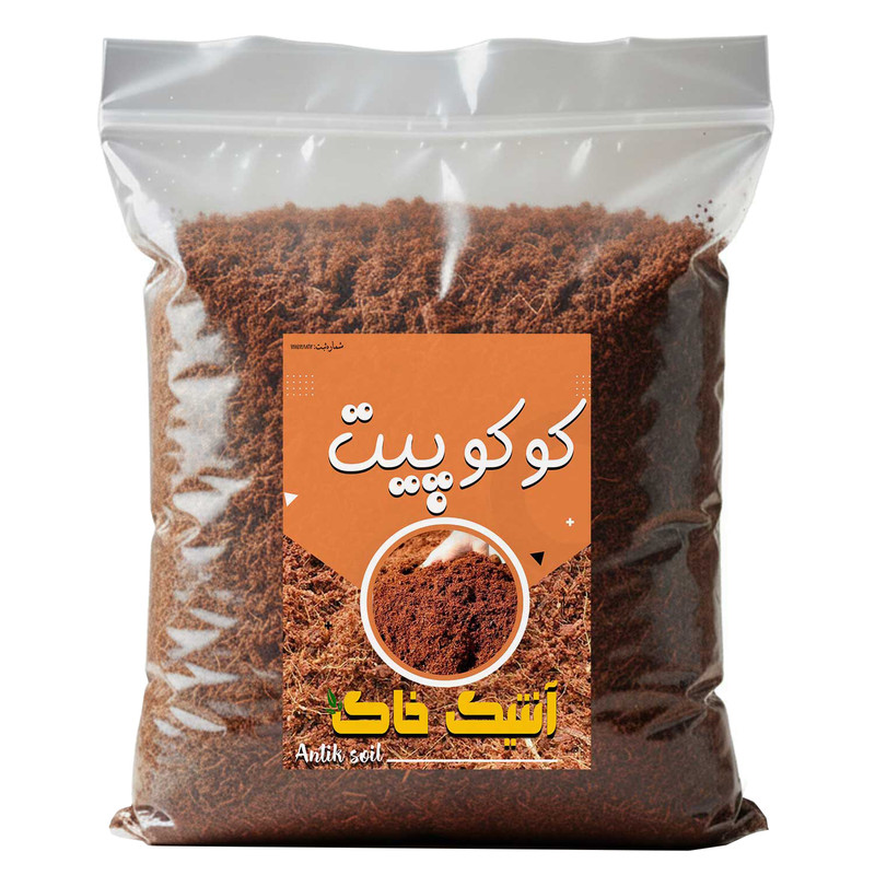 کوکوپیت آنتیک خاک مدل 4LR وزن 1 کیلوگرم