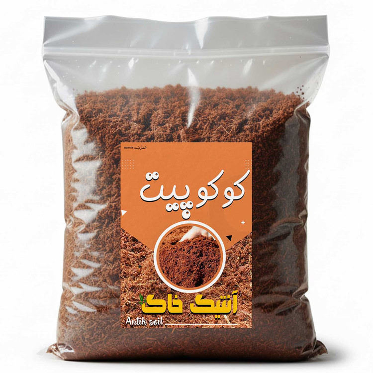 کوکوپیت آنتیک خاک مدل 4LR وزن 1 کیلوگرم