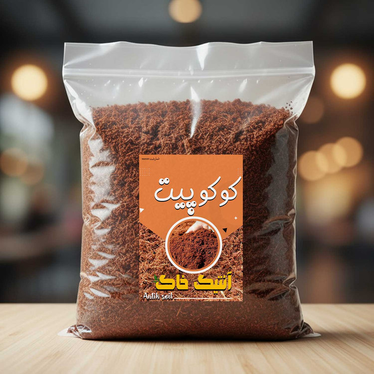 کوکوپیت آنتیک خاک مدل 4LR وزن 1 کیلوگرم