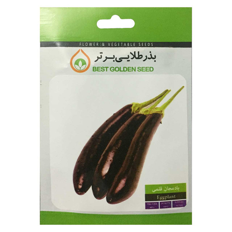 بذر بادمجان قلمی بذر طلایی برتر کد BZT-45