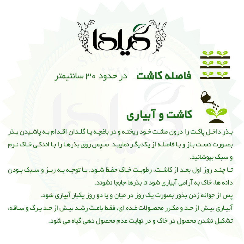 بذر چغندر قند گیلدا کد 432
