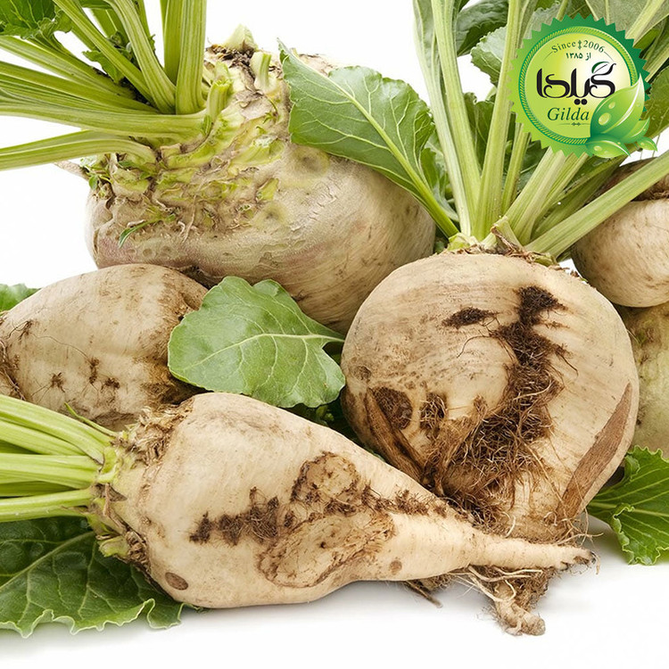 بذر چغندر قند گیلدا کد 432
