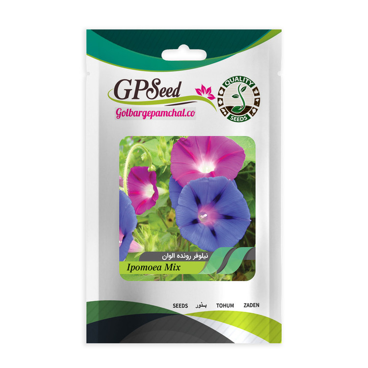 بذر گل های باغچه ای با رویش آسان گلبرگ پامچال کد G-P-GP-012 مجموعه 12 عددی