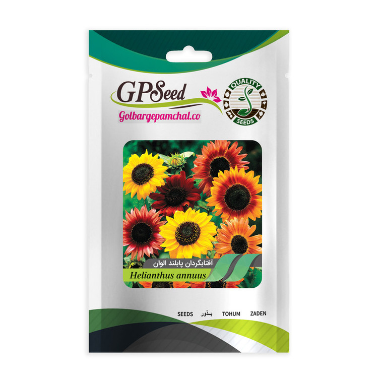 بذر گل های باغچه ای با رویش آسان گلبرگ پامچال کد G-P-GP-012 مجموعه 12 عددی