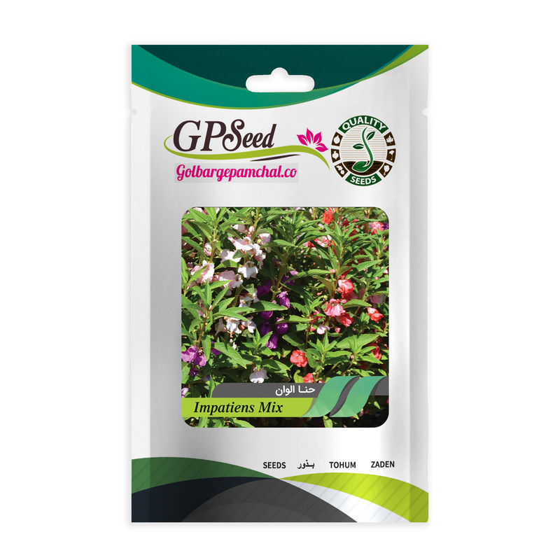 بذر گل های باغچه ای با رویش آسان گلبرگ پامچال کد G-P-GP-012 مجموعه 12 عددی