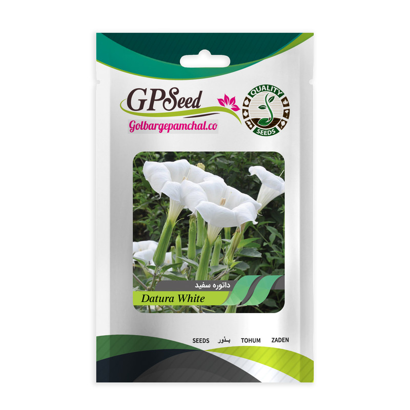 بذر گل های باغچه ای با رویش آسان گلبرگ پامچال کد G-P-GP-012 مجموعه 12 عددی