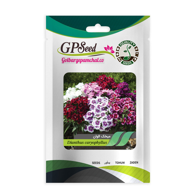 بذر گل های باغچه ای با رویش آسان گلبرگ پامچال کد G-P-GP-012 مجموعه 12 عددی