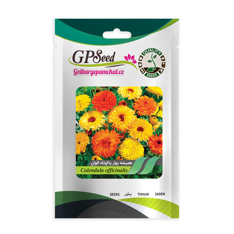 بذر گل های باغچه ای با رویش آسان گلبرگ پامچال کد G-P-GP-012 مجموعه 12 عددی