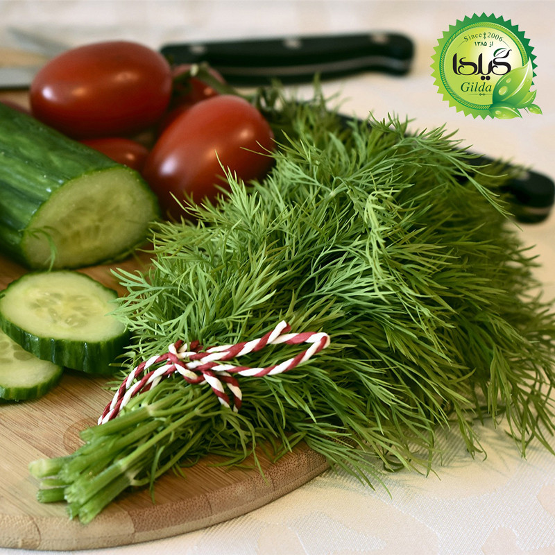 بذر سبزی آش گیلدا کد 098 مجموعه 5 عددی