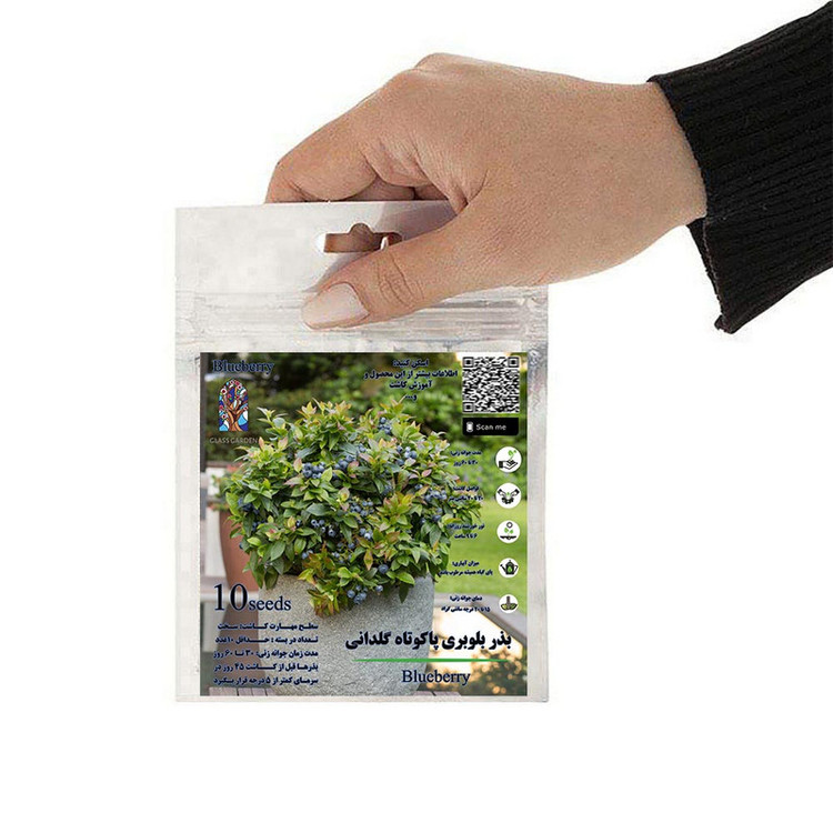 بذر میوه بلوبری پاکوتاه گلدانی گلس گاردن مدل GL10