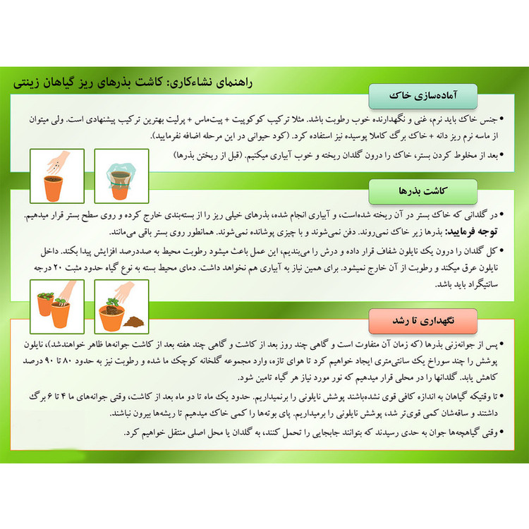 بذر حسن یوسف میکس پالم کد 15